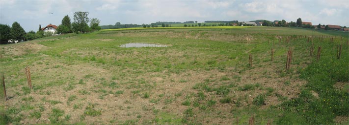 Absetzbecken Hochwasserrückhaltebecken Maierhof Süd