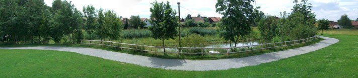 Biotop - Hochwasserschutz Etzelshoferbach
